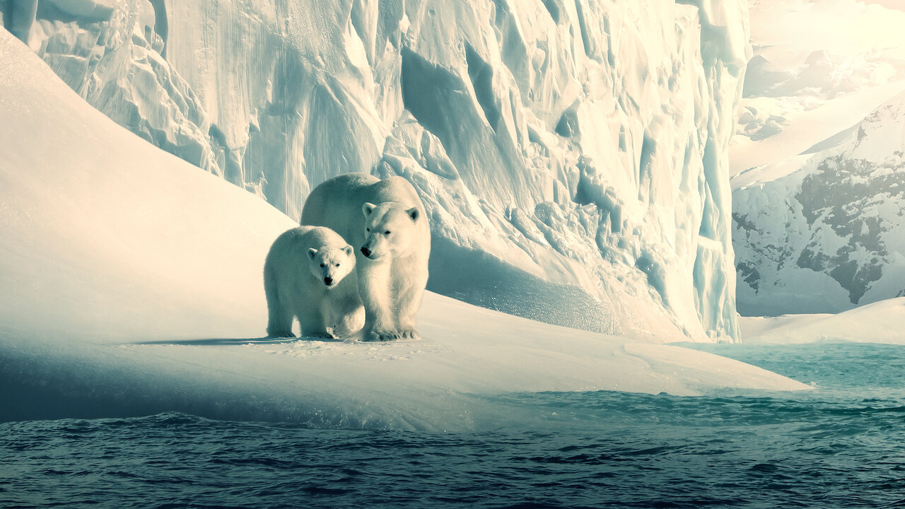 Watch Our Planet | Netflix Official Site Watch Our Planet | Netflix Official Site